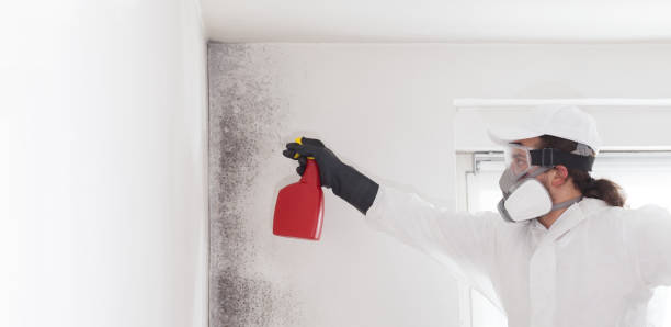 Best Residential Mold Removal  in Helena Valley Northeast, MT
