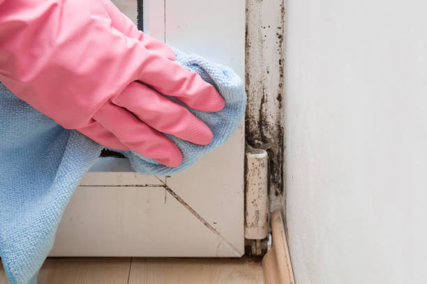 Best Mold Testing  in Helena Valley Northeast, MT